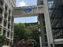 -香港大学