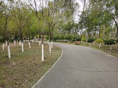 -东郊湿地公园