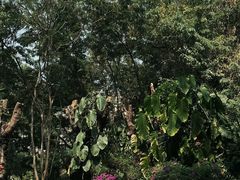 -曼听御花园