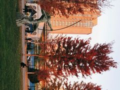 -清华大学艺术博物馆