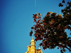 -上海佘山国家森林公园西佘山园