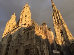 -斯蒂芬主教座堂(Stephansdom)