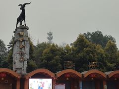 -成都动物园