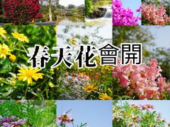 -东莞植物园