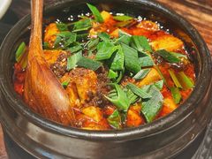 -陈麻婆豆腐(旗舰店)