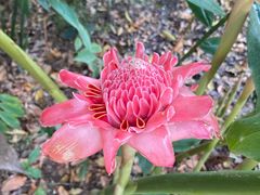 -中国科学院西双版纳热带植物园