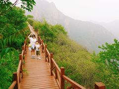 -大岭沟猕猴桃谷风景区