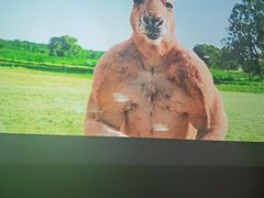 -天影龙云国际影城