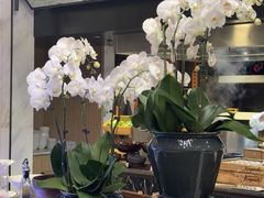 -济南凯宾斯基酒店-THE VIEW云景全日制餐厅