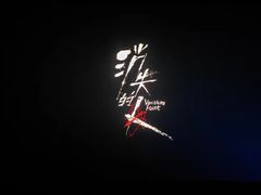 -万象影城(石家庄万象城IMAX激光店)