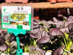 -和院老火锅铜锅烧烤海鲜(朱雀大街店)