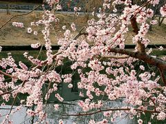 -安定门(地铁站)