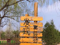 -永定河休闲森林公园