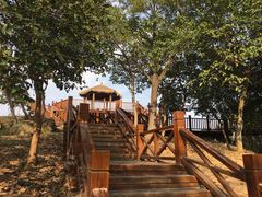 -南京市无想山景区