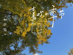 -北京鲁迅博物馆(北京新文化运动纪念馆鲁博馆区)