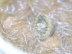 海葵粉丝-胖大嫂渔家排档·全海景餐厅(渔村店)