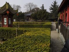 -茂陵博物馆