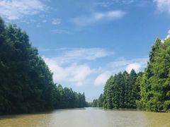 -上海海湾国家森林公园