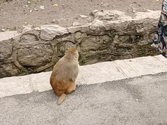 -黔灵山公园