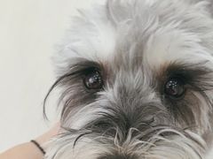 -美联众合动物医院·24h京西诊疗中心