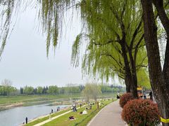 -洨河生态公园