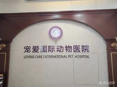 -宠爱国际动物医院· 猫科· 外科·中兽医(长白店)