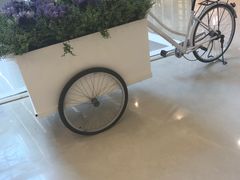 -星巴克(太原茂业天地店)