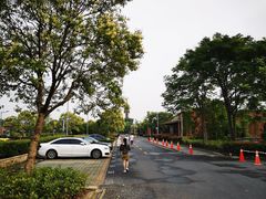 -上海欢乐谷-停车场