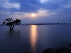 -宝安西湾红树林湿地公园