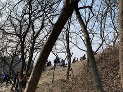 -紫金山天文台