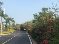 -黄金海岸环岛路