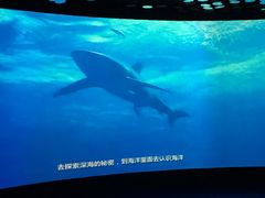 -同济大学四平路校区深海探索馆