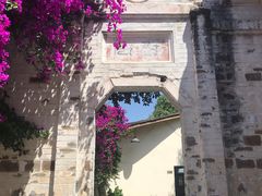 -金谷域澳洲庄园