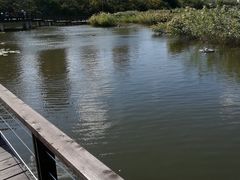 -前关湿地公园