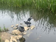 -前关湿地公园
