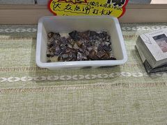 -安徽省地质博物馆