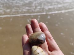 -连岛景区大沙湾