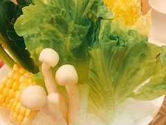 -四季火锅酒家(新濠影汇店)