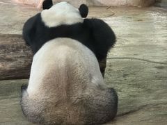 -海南热带野生动植物园