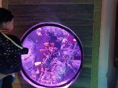 -沈阳海洋探索中心