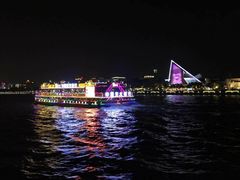 -珠江夜游省总码头