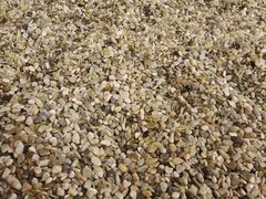 -木子塘汗蒸生活馆(财富港店)