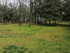 -洨河生态公园