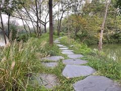 -木守西溪溪隐餐厅