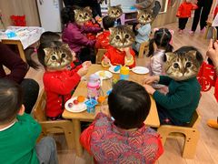 -雀儿音乐花园蒙特梭利托班