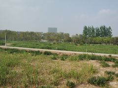 -大兴滨河森林公园