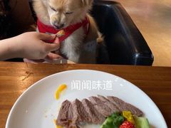 -百好乐宠物友好餐厅(朝外大街店)