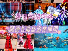 -长鹿旅游休博园