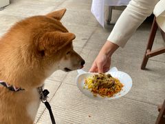 -the rug 飞毯 (朝阳公园店)