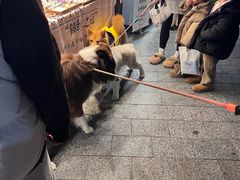 -莫朗核桃饼(虹泉路店)